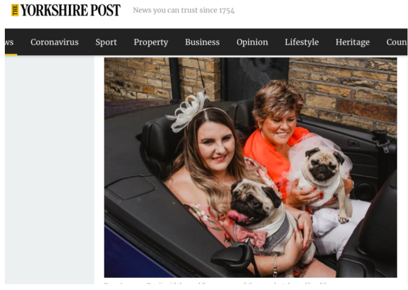 casamento pugs