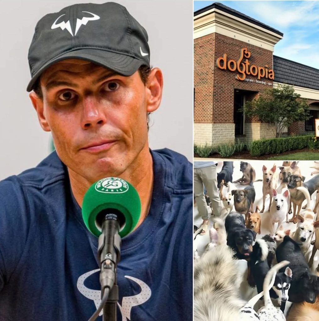 O lendário tenista espanhol cria um refúgio animal com o seu nome com o objetivo de dar uma segunda oportunidade aos cães e gatos maltratados.