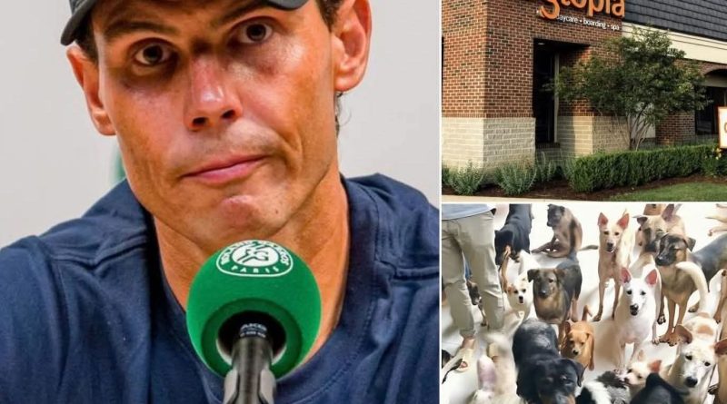 O lendário tenista espanhol cria um refúgio animal com o seu nome com o objetivo de dar uma segunda oportunidade aos cães e gatos maltratados.