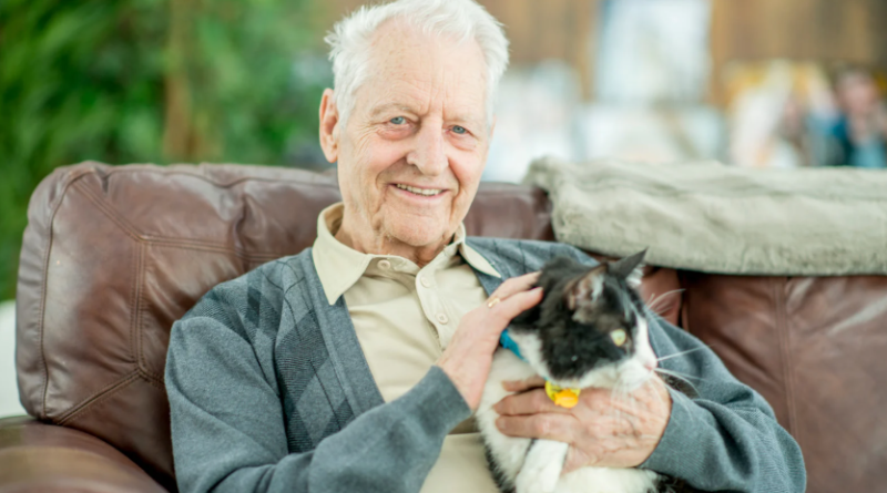 Lares de idosos vão poder aceitar animais de companhia