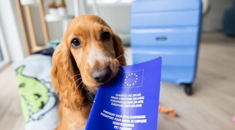 UE atuyualiza regras de circulação.