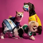 Mundial 2026: Adidas lança camisolas para cães