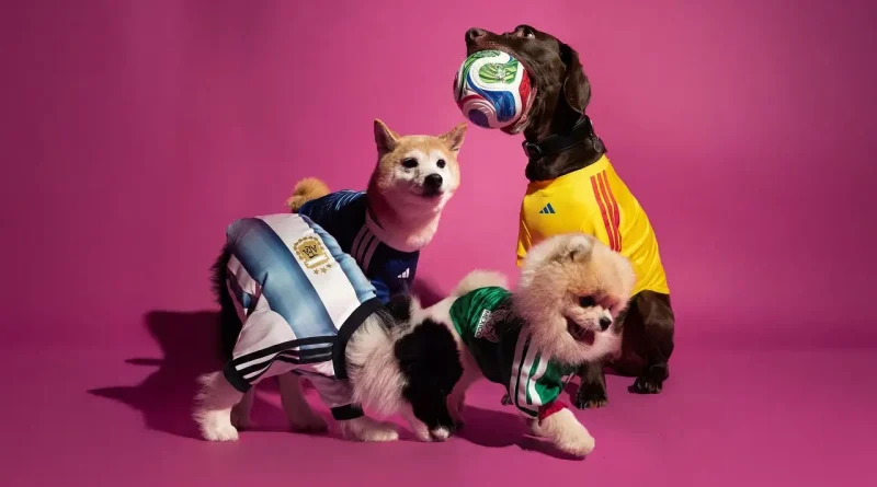 Adidas lança camisolas para cães