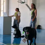Cães treinados ajudam a tratar a depressão em Barcelos