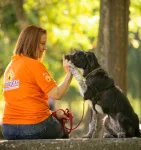 Açores: projeto "4 Patas no Combate à Solidão" para apoiar idosos e reduzir abandono animal